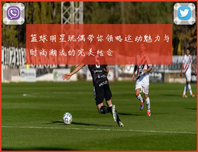 篮球明星玩偶带你领略运动魅力与时尚潮流的完美结合