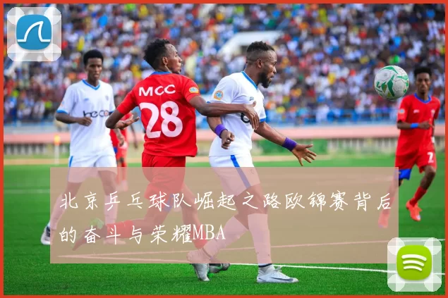 北京乒乓球队崛起之路欧锦赛背后的奋斗与荣耀MBA