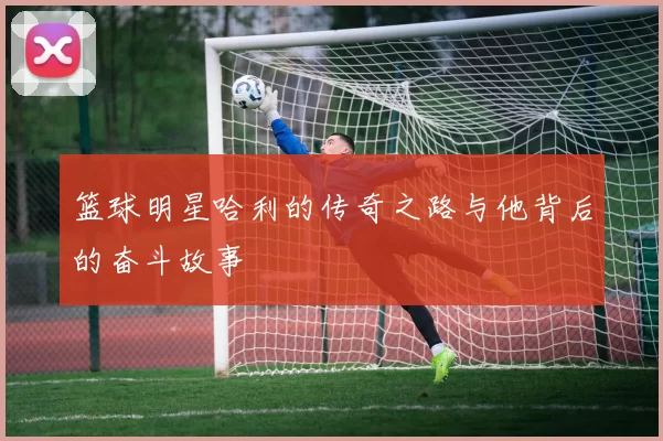 篮球明星哈利的传奇之路与他背后的奋斗故事