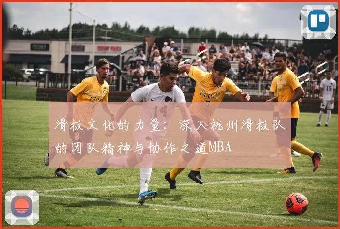 滑板文化的力量：深入杭州滑板队的团队精神与协作之道MBA