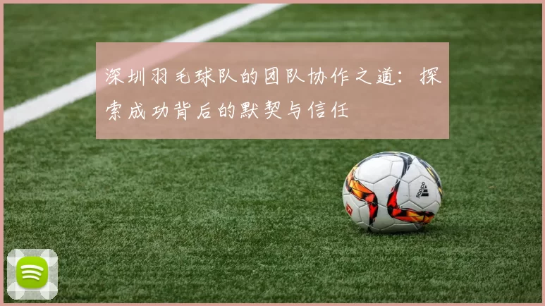深圳羽毛球队的团队协作之道：探索成功背后的默契与信任