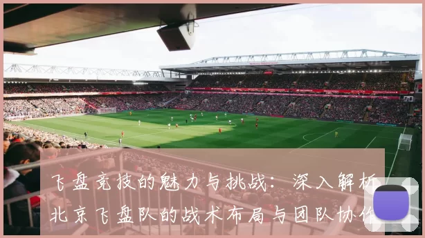 飞盘竞技的魅力与挑战：深入解析北京飞盘队的战术布局与团队协作MBA