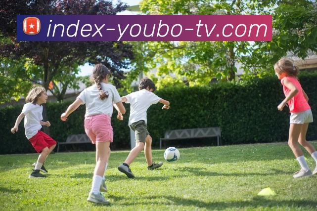 yb优博体育平台生态图