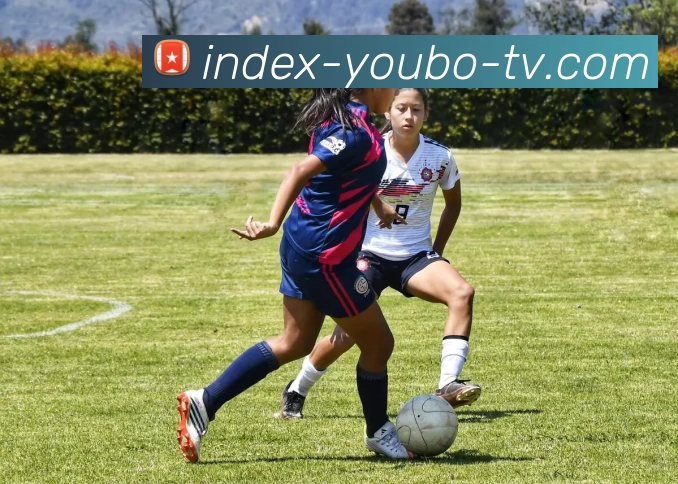 多媒体互动体验