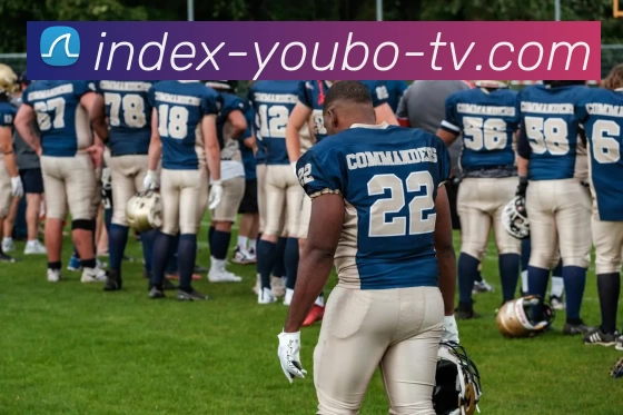 yb优博体育APP 封面图